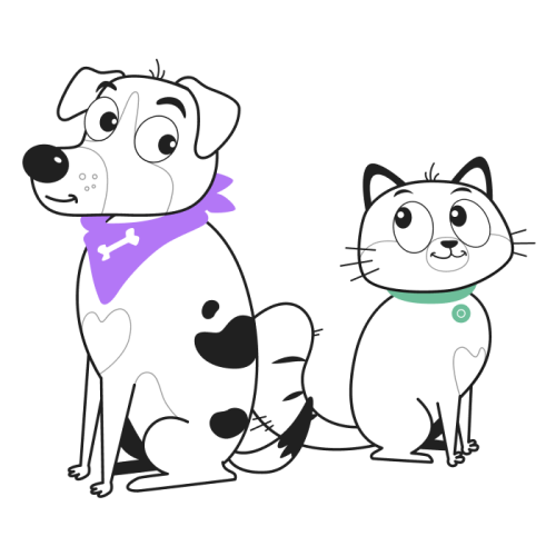 Chien Et Chat